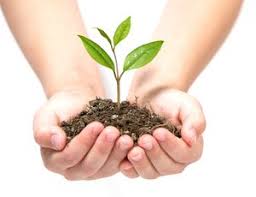 Environmental Planning and the Foundations of Environmental Protection