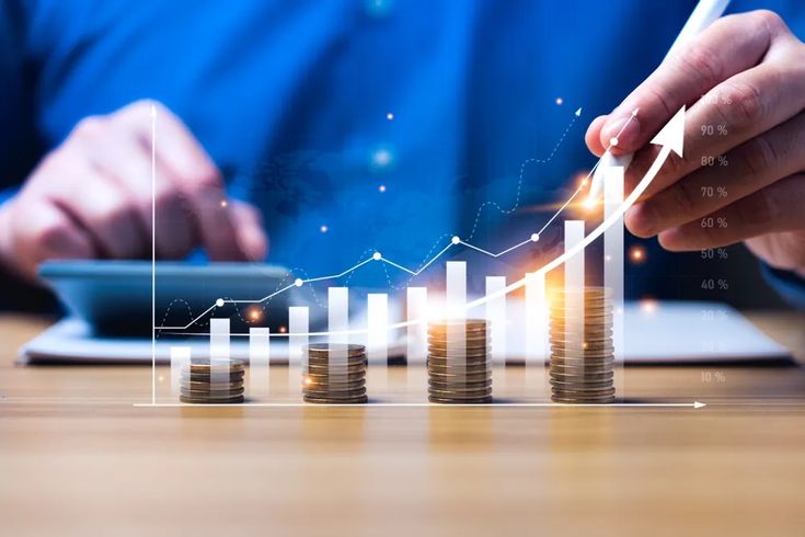 Financial procedures in privatization