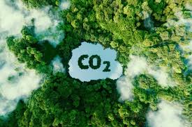 Gas Emissions and Ways to Address Them