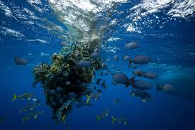 Industrial Pollution and Marine Pollution