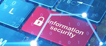 Information Security Governance Standards