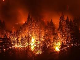 Intentional Fires and Techniques for Treating them in the Field and Laboratory