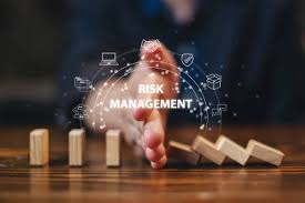 Risk Management in Sports Institutions