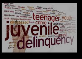 Skills for Dealing with Juveniles and Studying Cases of Juvenile Delinquents