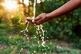 Basic Introduction to Environmental Sanitation
