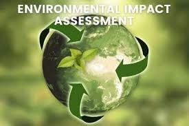 Environmental Impact Analyst