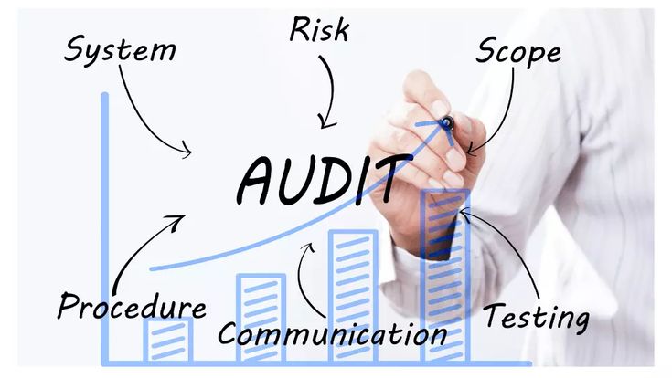 Study and develop the internal audit system